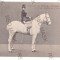 1214 - CIRCUS SIDOLI, Leokadia, Romania - old postcard - unused