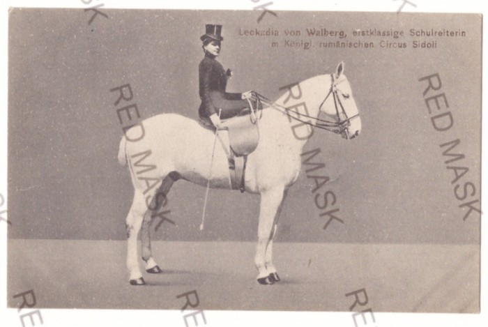 1214 - CIRCUS SIDOLI, Leokadia, Romania - old postcard - unused