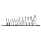 biti Torx cu antrenor,1/4&amp;#39; &amp;#39; , 3/8&amp;#39; &amp;#39; , 1/2&amp;#39; &amp;#39; ,12 buc-set 39D342