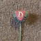 Insigna fotbal - DYNAMO DRESDA (Germania)