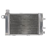 RADIATOR APRILIA TUONO 1000 2002 2005