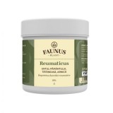 Gel pentru dureri reumatice Reumaticus, 250ml, Faunus Plant