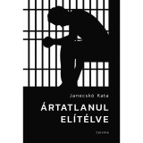 &Aacute;rtatlanul el&iacute;t&eacute;lve - Janecsk&oacute; Kata