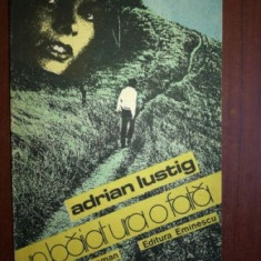 Un baiat ura o fata- Adrian Lustig