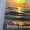 SARPELE DE ARAMA-DUMITRU ICHIM 2014 /NOUA /