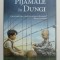 BAIATUL CU PIJAMALE IN DUNGI de JOHN BOYNE , 2013 *EDITIE BROSATA
