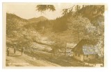 17 - TG. LAPUS, Maramures, Country Life, Romania - old postcard - unused