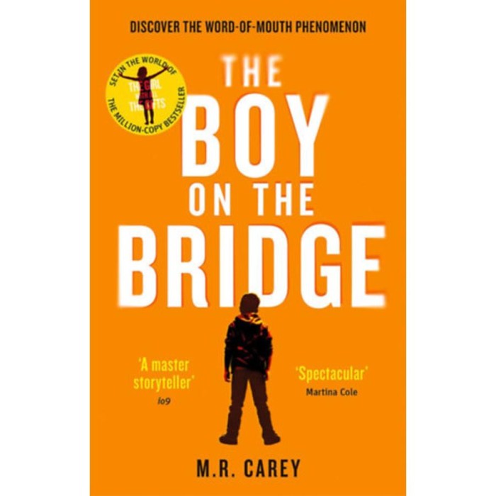 The Boy on the Bridge - M.R. Carey
