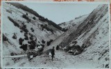 Carte postala, Romania, taietori de lemne, perioada interbelica