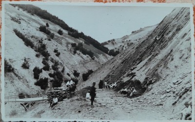 Carte postala, Romania, taietori de lemne, perioada interbelica foto