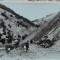 Carte postala, Romania, taietori de lemne, perioada interbelica