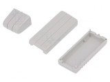 Carcasă USB ABS Gri 20x66x12mm cu Clichet, MASZCZYK