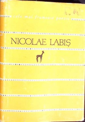 VERSURI-NICOLAE LABIS-101025 foto