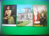 HOPCT LOT 3112 MUZEUL B P HASDEU-CAMPINA-PRAHOVA- 3 CARTI POSTALE-CIRCULATE