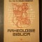 Preot Prof. Dr. Dumitru Abrudan; Diac. Prof. Dr. Emilian Cornițescu - Arheologie biblică (1994)