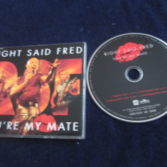 Right Said Fred - You're My Mate_maxi single,cd _ King Size rec( 2001, Europa )