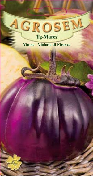 VINETE VIOLETTA DI FIRENZE 1 g