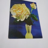 CARTE POSTALA FELICITARE NECIRCULATA