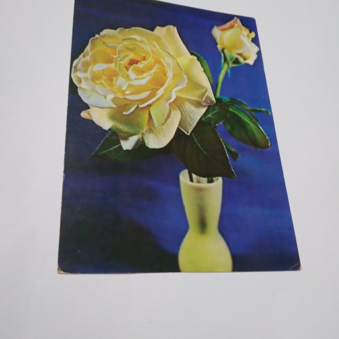 CARTE POSTALA FELICITARE NECIRCULATA