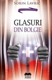 Glasuri din bolgie | Sorin Lavric, Ideea Europeana