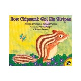 How Chipmunk Got His Stripes
