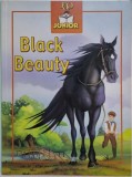 Black Beauty Ilustrata de Van Gool - Carte Povesti Copii
