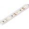 Bandă LED Alb Rece 12V IP65 6W/m