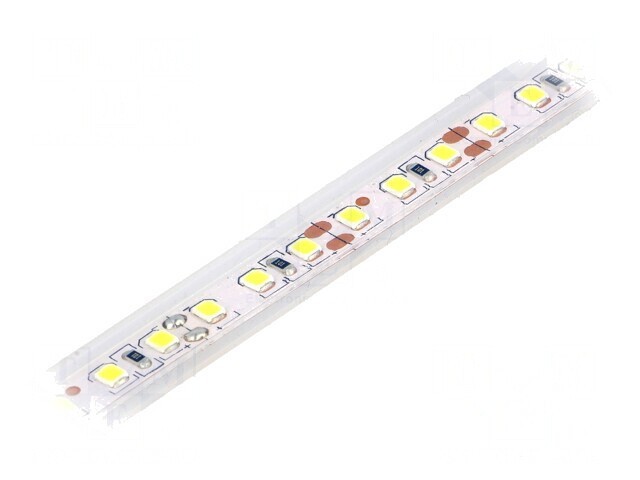 Bandă LED Alb Rece 12V IP65 6W/m