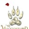 The Macconwood Wolf Pack Volume 1