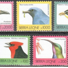SIERRA LEONE-1999-FAUNA-PASARI-Sertie de 5 timbre nestampilate MNH