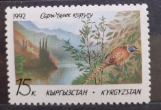 Kyrgyzstan 1992 pasari fauna 1v. mnh foto