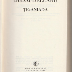 I. BUDAI DELEANU - TIGANIADA