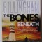 THE BONES BENEATH by BILL BILLINGHAM , 2015