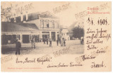 4360 - CRISTURU SECUIESC, Harghita, Market, Litho - old postcard - used - 1900, Circulata, Printata