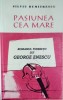 Romanul Tineretii Lui George Enescu - Silviu Dumitrescu, Excelsior, 1997, Biografii, Romana