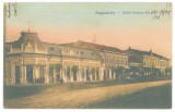 5000 - CAREI, Satu-Mare, Market, Romania - old postcard - used - 1915