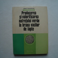 Producerea si valorificarea nutretului verde in hrana vacilor de lapte-S.Teodore