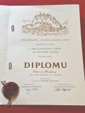 Diploma Sportiva Istorica acordata jucatoarei de Baschet VIORICA NICULESCU (Capitanul Nationalei Romaniei timp de 12 ani!)
