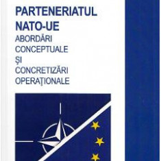 Parteneriatul NATO-UE. Abordari conceptuale si concretizari operationale - Dragos-Daniel Ilinca