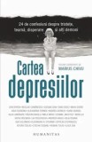 Cumpara ieftin Cartea depresiilor. 24 de confesiuni despre tristete, teama, disperare si alti demoni/Marius Chivu