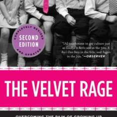 The Velvet Rage: Overcoming the Pain of Growing Up Gay in a Straight Man's World