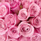 Tablou canvas Trandafiri roz, 90 x 60 cm