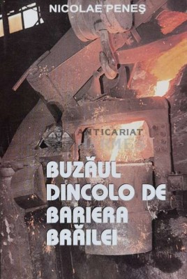 Buzaul dincolo de bariera Brailei - 2003 - Nicolae Penes (E89) foto