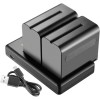 Set de 2 acumulatori Neewer NP-F970 de 6600 mAh cu incarcator dual, pentru Sony, F960 F950 F770 F750 F570 F550, LED de monitorizare