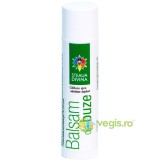 Balsam de Buze cu Catina 4.5g