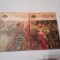 DUILIU ZAMFIRESCU ~ IN RAZNOI * INDREPTARI * ANNA ~ ROMANE ( 2 vol. )