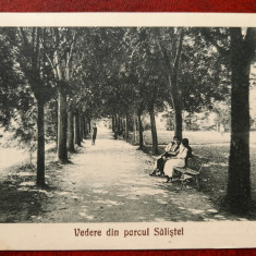 Vedere din parcul Salistei-C.P.circ.