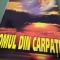 PAVEL CORUT -OMUL DIN CARPATI