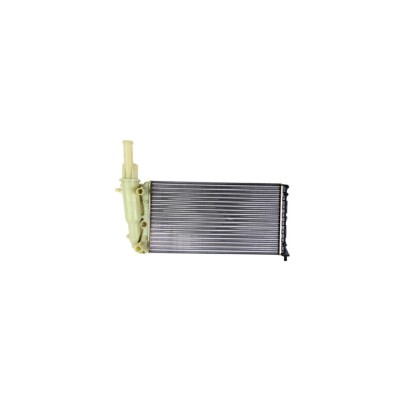 Radiator apa FIAT PUNTO 176 TYC 709-0004 foto