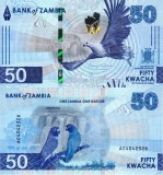 ZAMBIA 50 kwacha 2024 UNC!!!